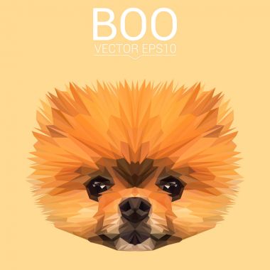 Düşük Poli dizayn boo