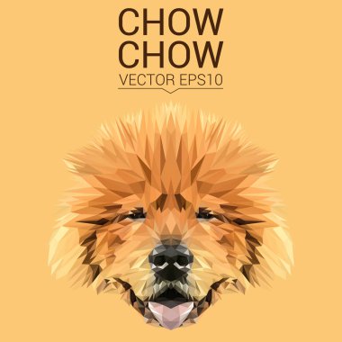 Chow chow düşük Poli Dizayn