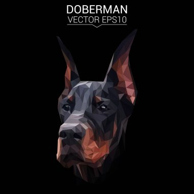 Doberman düşük Poli Dizayn