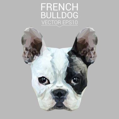 Fransız buldozer düşük Poli Dizayn