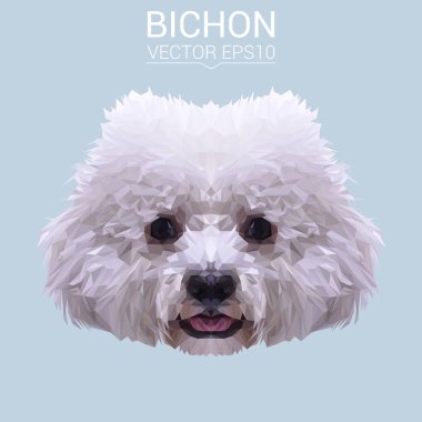 Bichon düşük Poli Dizayn