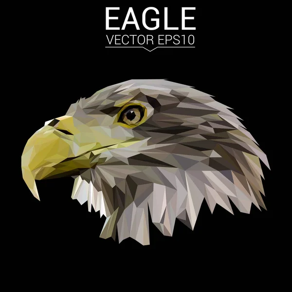 Eagle nízké poly design — Stockový vektor