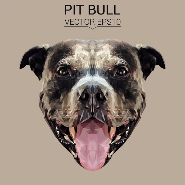 Pit bull nízké poly design — Stockový vektor