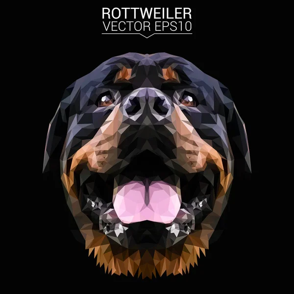 Rottweiler design poli baixo — Vetor de Stock