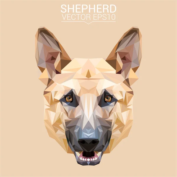 Schäferhund Low Poly Design — Stockvektor