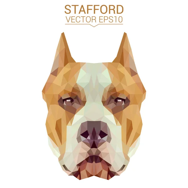 Stafford Low Poly Design — Stockvektor