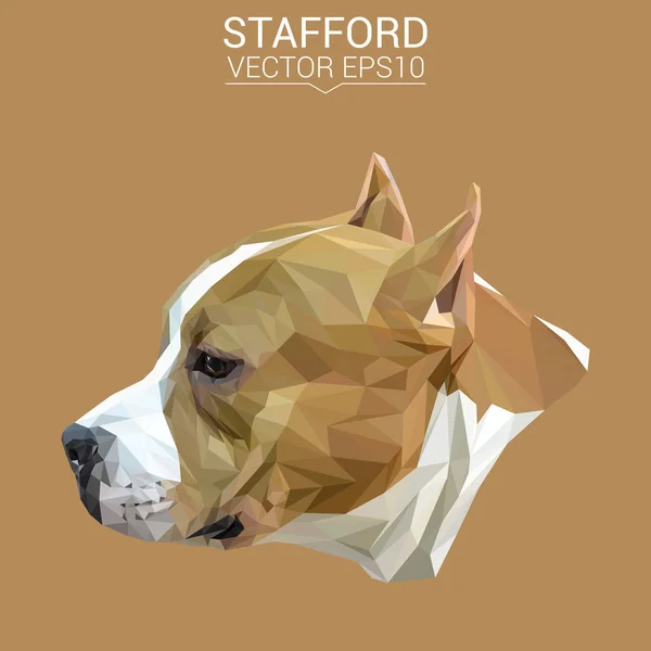 Stafford Low Poly Design — Stockvektor