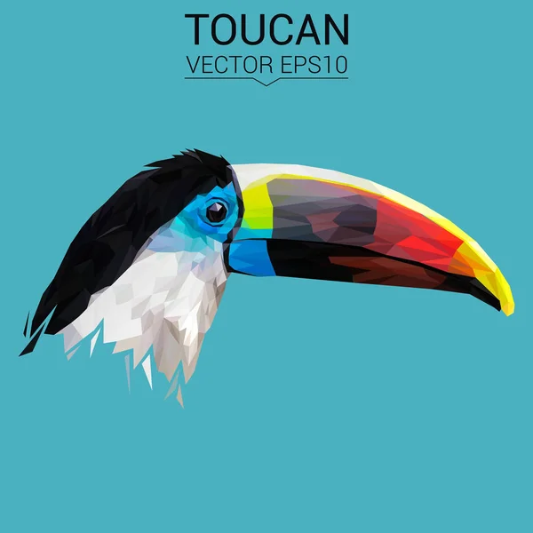 Toucan design a basso poli — Vettoriale Stock