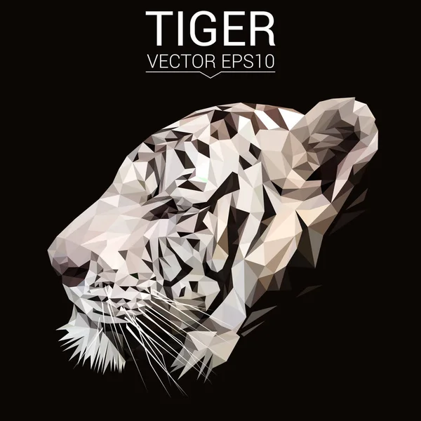 Тигр низький полімерний дизайн — стоковий вектор