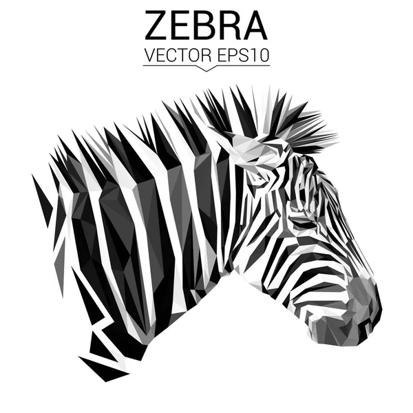 Zebra alacsony poly design — Stock Vector