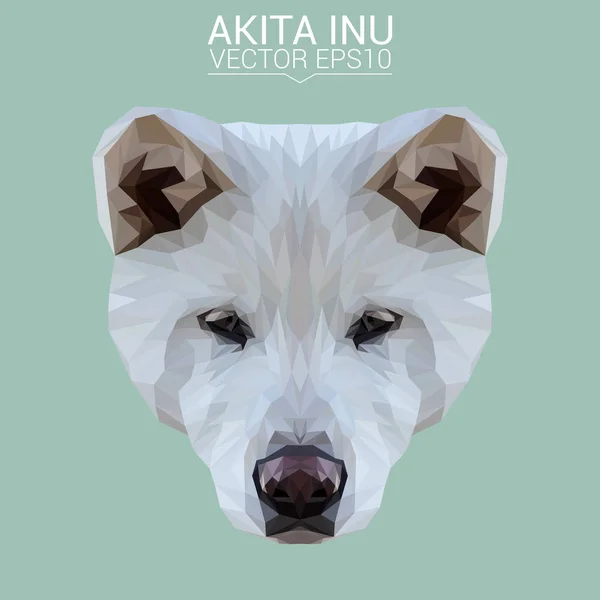 Akita Inu nízké poly design — Stockový vektor