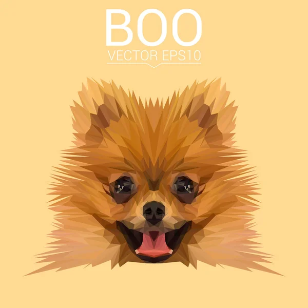 Boo low-Poly-design — Stockvektor