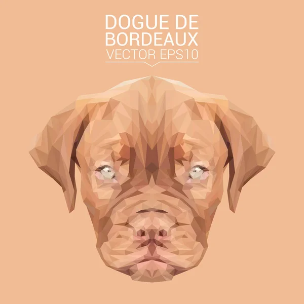 Dogue de Bordeaux low poly design — Stockový vektor