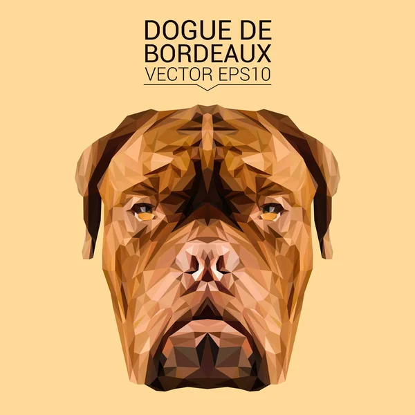 Dogue de Bordeaux low poly design — Stockový vektor