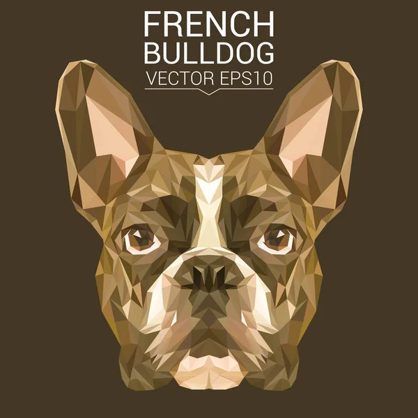 Francia Bulldog alacsony poly design — Stock Vector