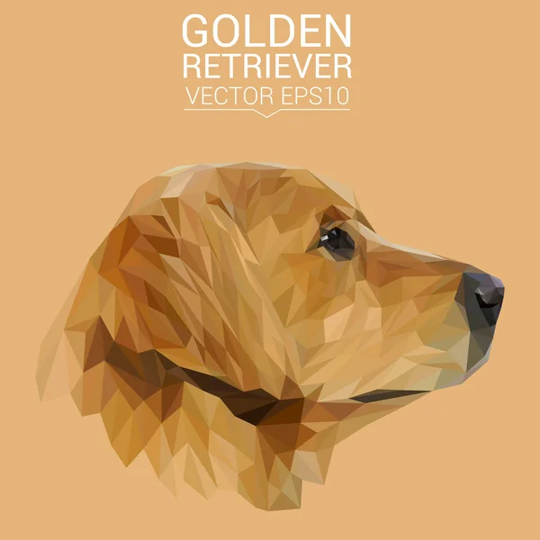 Golden retriever low poly design — Stock Vector