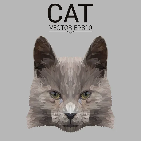 Cat design a basso poli — Vettoriale Stock