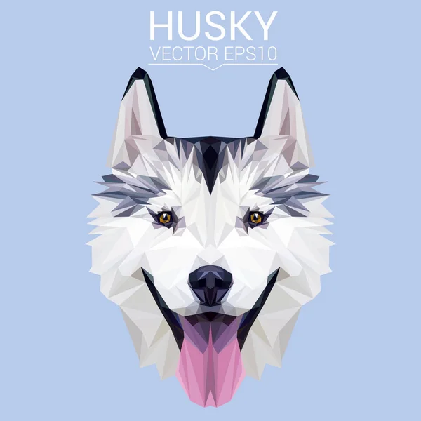 Husky Low Poly Design — Stockvektor