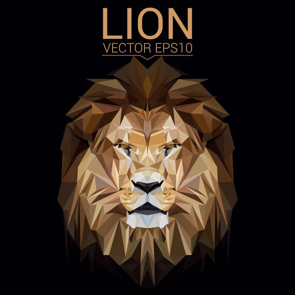 Lion design a basso poli — Vettoriale Stock