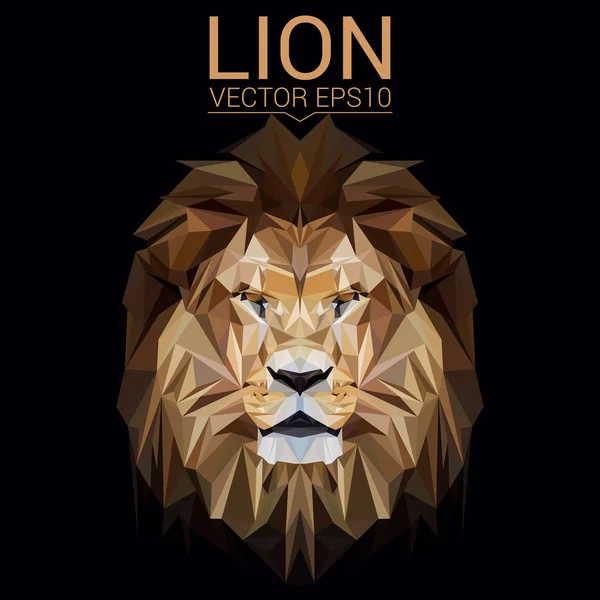 Lion nízké poly design — Stockový vektor