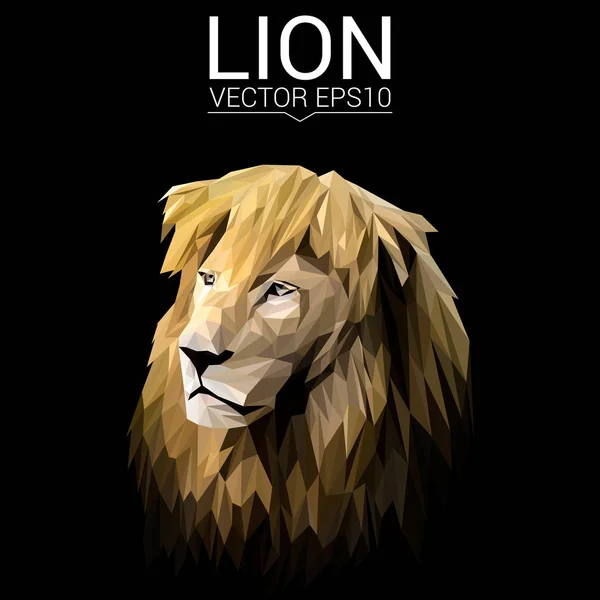 Lion design a basso poli — Vettoriale Stock