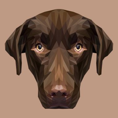 Labrador av köpeği hayvanı.