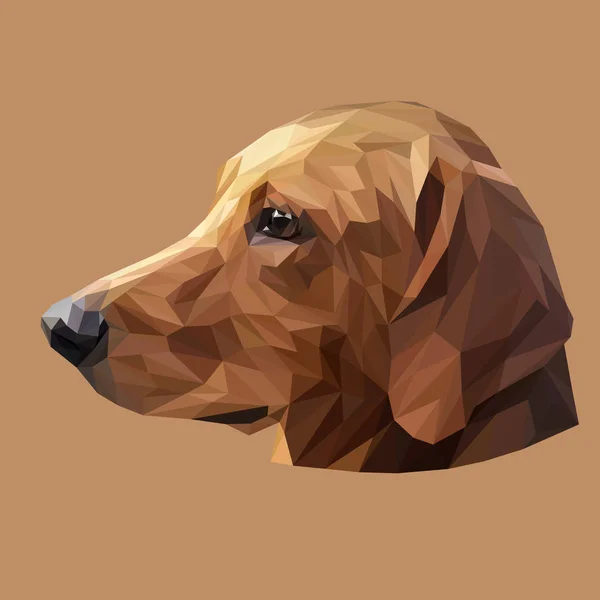 Golden retriever design poli baixo —  Vetores de Stock