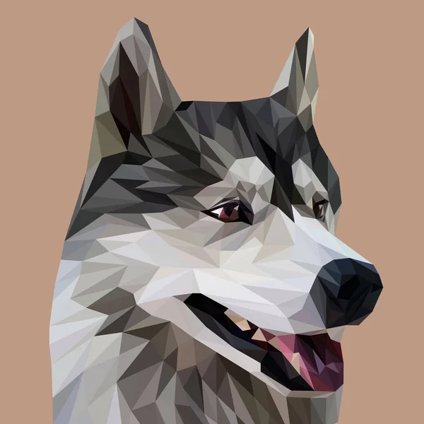 Syberyjski pies Husky — Wektor stockowy