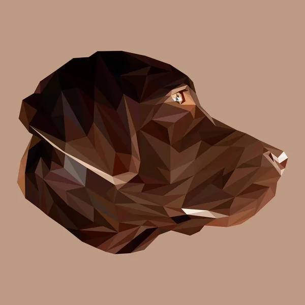 Labrador retriever chien animal — Image vectorielle