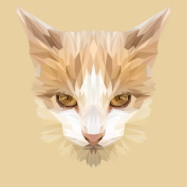 Cat conception basse poly . — Image vectorielle