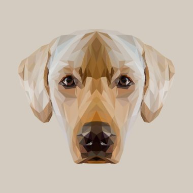 Labrador Retriever köpek hayvan düşük Poli dizayn. Üçgen vektör çizim.