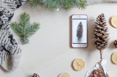 Üstten Görünüm bir cep telefonu ve bir çam kozalağı. Kış ruh. Düz yatıyordu