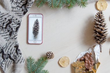 Üstten Görünüm bir cep telefonu ve bir çam kozalağı. Kış ruh. Düz yatıyordu