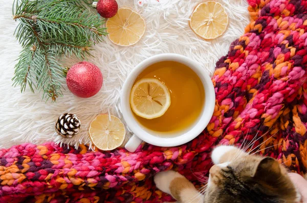 Vista superior de una bufanda de punto rojo y una taza de té con limón. Humor de invierno. Decoración de Navidad laica plana — Foto de Stock