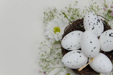 Paskalya yumurtaları çiçek açan çiçekler ile. Beyaz arka plan üzerinde. İllüstrasyon