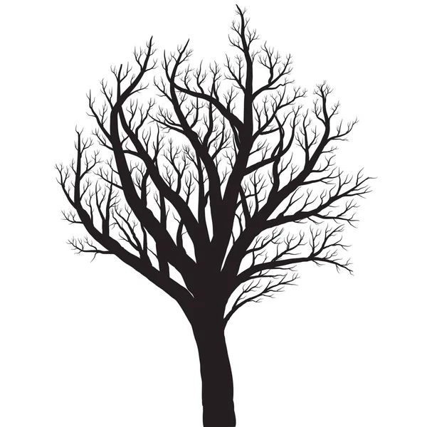 Silhueta de árvore no fundo branco —  Vetores de Stock