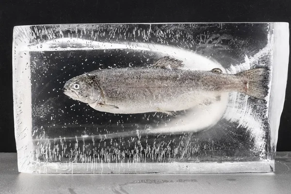 Perfect raw frozen fish in a clear modeling ice cube on a black background