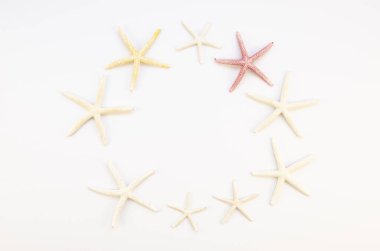 Üst görünüm yıldız balıkları çerçevesi beyaza izole edildi. Fotokopi alanı ile yaz tatili konsepti