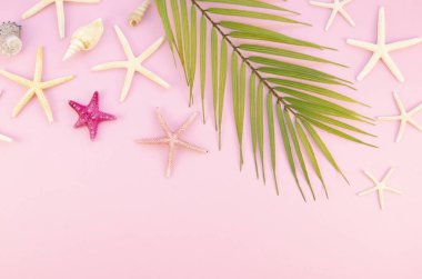 Yaz tatili düz pembe bir arka planda yatıyordu. Palmiye yaprağı, deniz kabukları ve deniz yıldızları