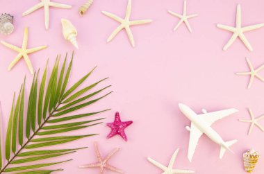 Okyanus yıldızbalıklarından, uçak oyuncaklarından ve pembe arka planda Palm 'dan oluşan üst manzara çerçevesi. Uzayı ortaya kopyala