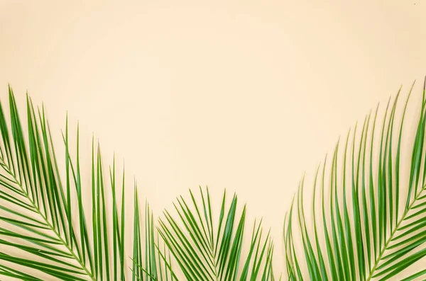 Palm leaves border on a beige background. Minimal summer mockup with copy space for your text — Stock Photo, Image