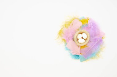 Beyaz bıldırcın yumurtalarından ve beyaz tüylerden oluşan bir Paskalya kartı modeli. Şenlikli harf yazıları için alanı kopyala