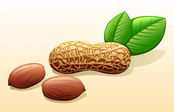 Des cacahuètes. Image unique — Image vectorielle