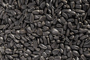 Ayçekirdeği kabuğu