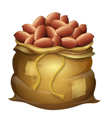 Bir paket soyulmuş fıstık. Vektör çizimi.