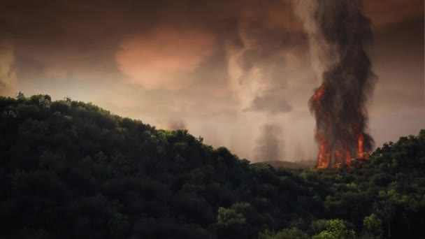 Letecký záběr hořícího lesa — Stock video