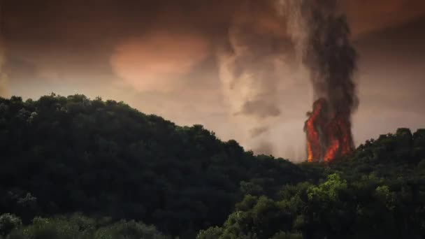Luftaufnahme eines brennenden Waldes — Stockvideo