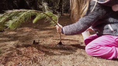 küçük kız bir ağaç dikme