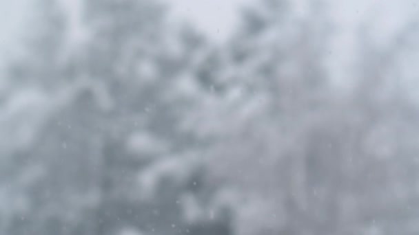 Sneeuwval in slow motion — Stockvideo