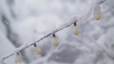 Kar ağır çekimde düşüyor